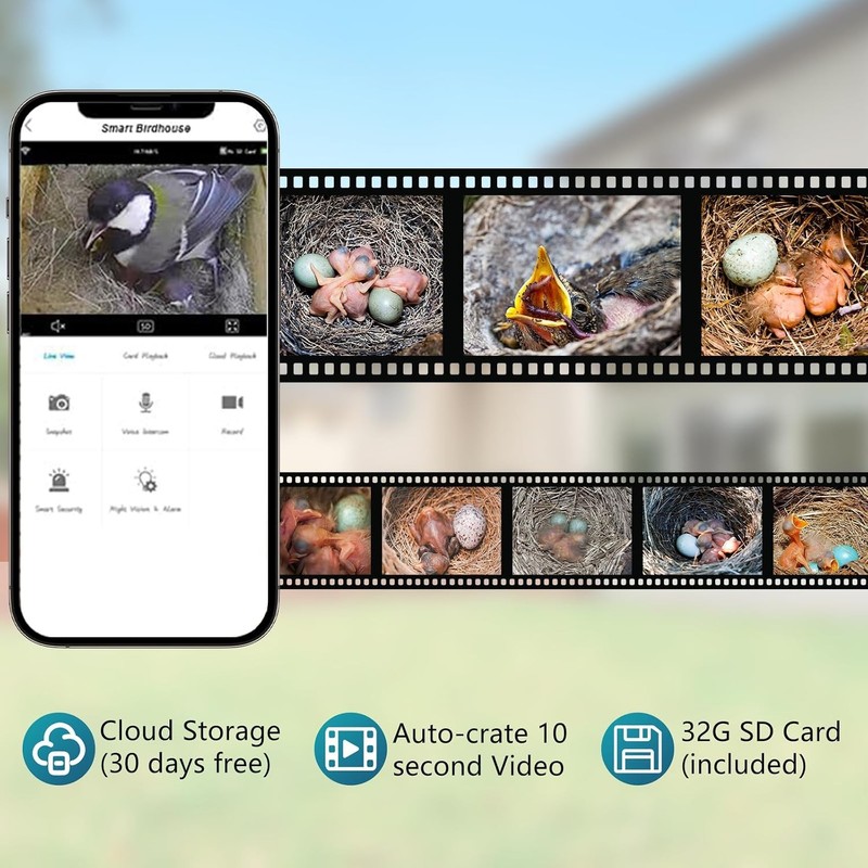 Smart Bird House with Camera, 1080P HD Birdhouse with Camera Inside gallery