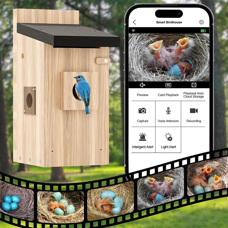 5MP Solar Bird House Camera 2.4G WiFi Live View Nesting Box gallery