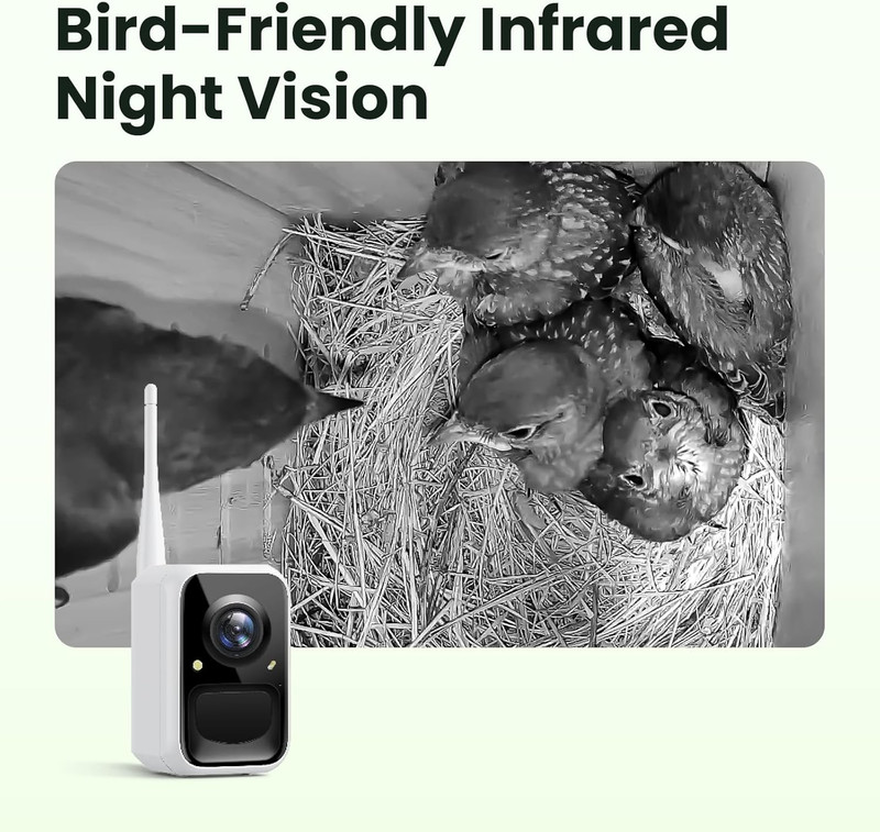 Smart Bird House with Camera Solar Powered, 1080HD Live Video & Night Vision for gallery