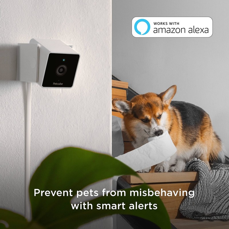 Cam Indoor Home with 1080p HD Video, -Way Audio, Motion Detection, and App, N... gallery