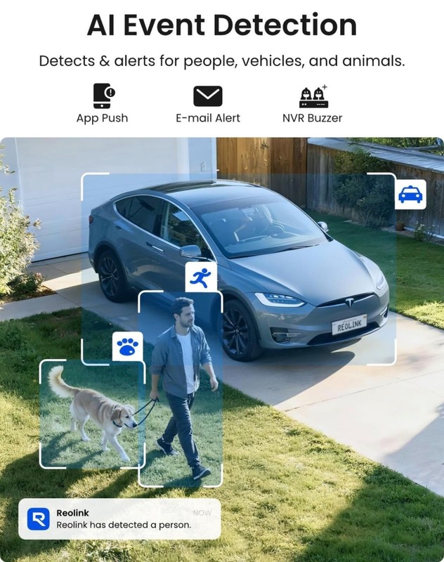 Reolink 4K PoE Security Camera System with Person Vehicle Pet Detection,8CH NVR gallery