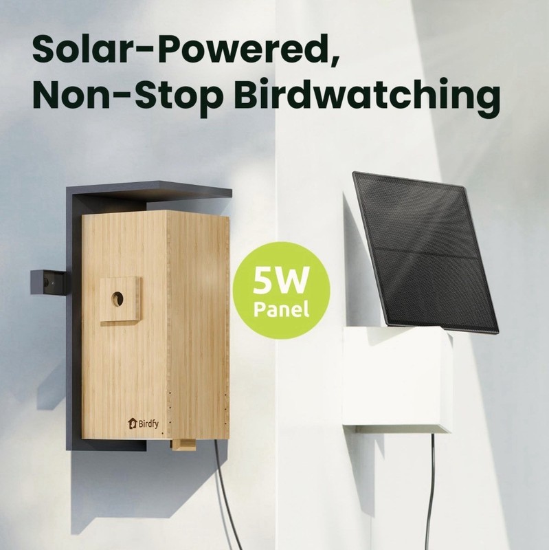 Birdfy Smart Bird House Nest Duo 2025 Dual Camera Solar AI Bamboo WiFi 1080P gallery