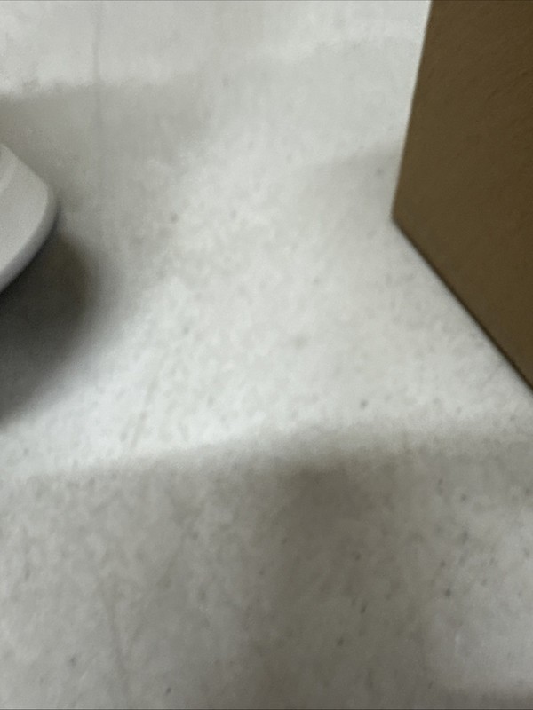 Ring Outdoor Cam Plus | Plug-In | 2K Video and Ring Vision Color gallery