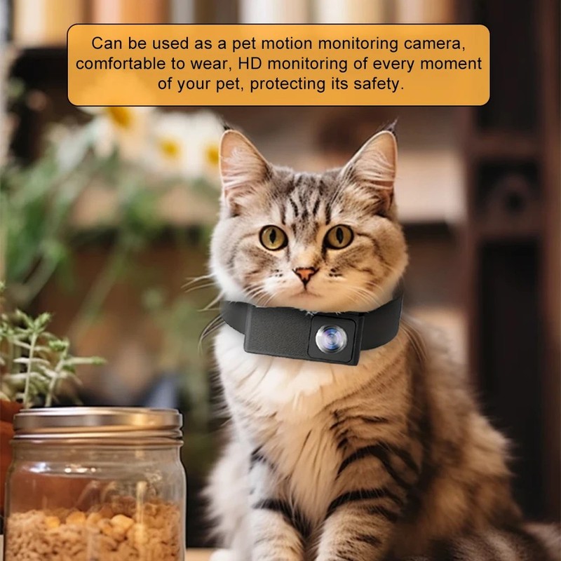 BORME HD 1080P Wireless Pet Camera, Collar Cam, No WiFi Needed, Gift Idea gallery