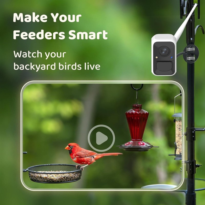 Netvue NI-8202 Birdfly Cam FHD Camera 1080p White For Bird Watching id 6k specie gallery