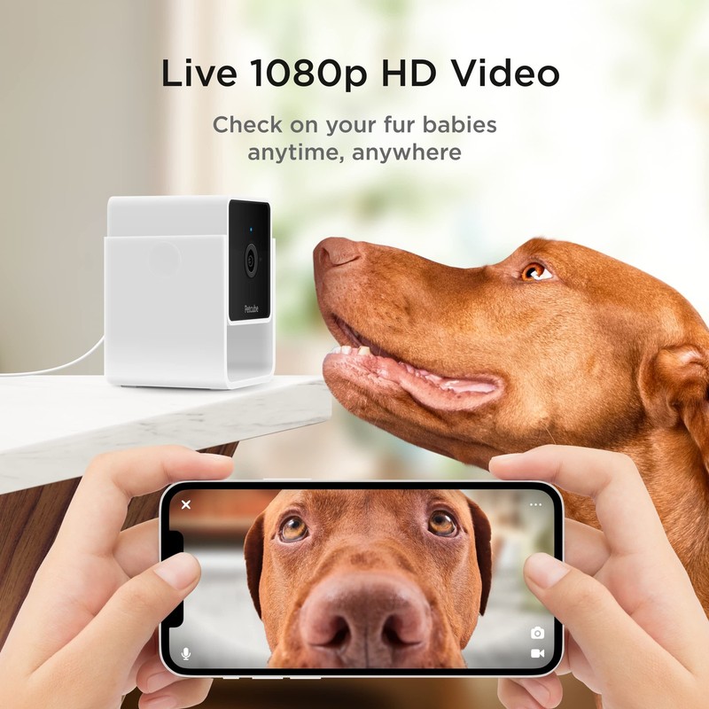 Cam | Indoor Wi-Fi Pet and Security Camera with Phone App, Pet Monitor with 2... gallery