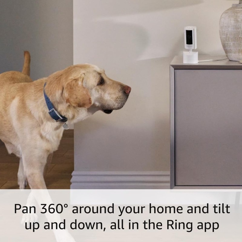 Pan-Tilt Indoor Cam (Newest Model), See All around Your Home or Business with 36 gallery