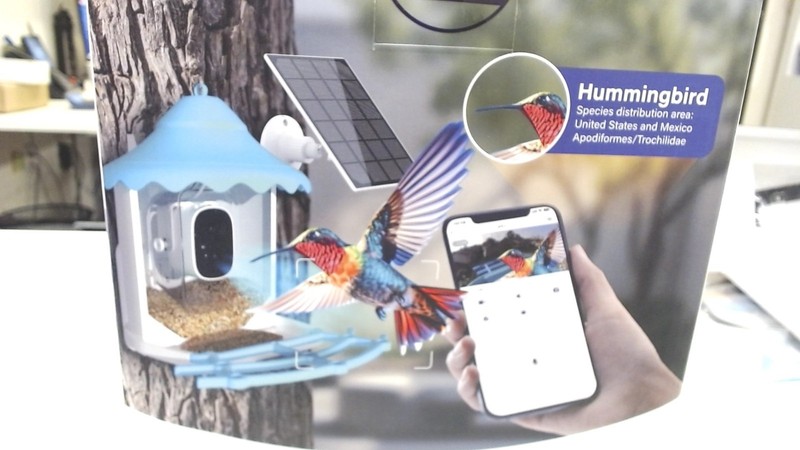 Cinmoore CM-P2U Smart Bird Feeder Solar Wifi
