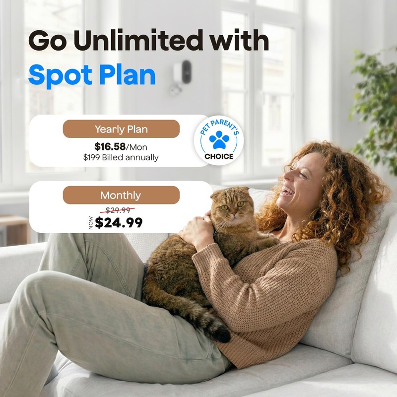 4G LTE Security Camera with SIM Card, 2K HD Pet Monitor, 300° Pan, No WiFi, Nigh gallery
