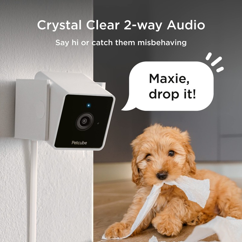 Petcube Cam | Indoor Wi-Fi Pet and Security Camera with Phone App, Pet Monito... gallery