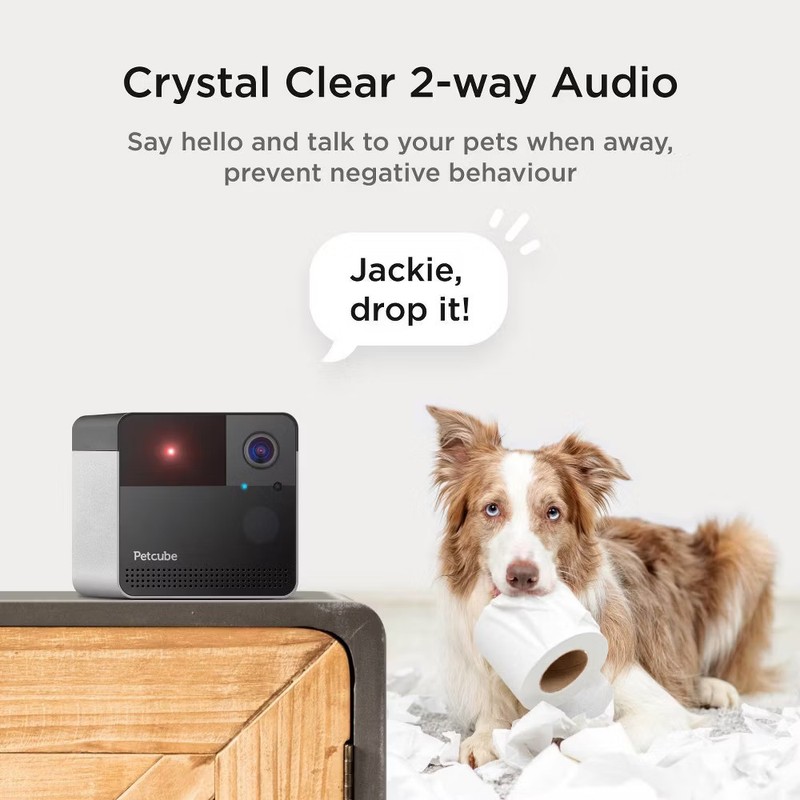 Petcube Play 2 Wi-Fi Pet Camera with Laser Toy for Cats & gallery