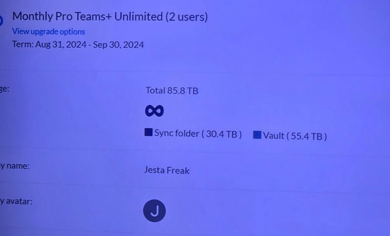 unlimited cloud storage; + access to my 55.3tb and growing digital media folder gallery