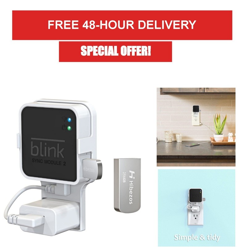 Hibezos 256GB USB Flash Drive & Outlet Mount for Blink Sync Module 2