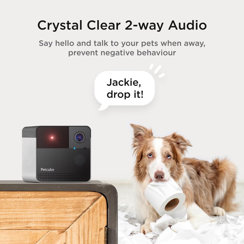 Petcube Play 2 Wi-Fi Pet Camera with Laser Toy for Cats Dogs, 1080P HD Video... gallery