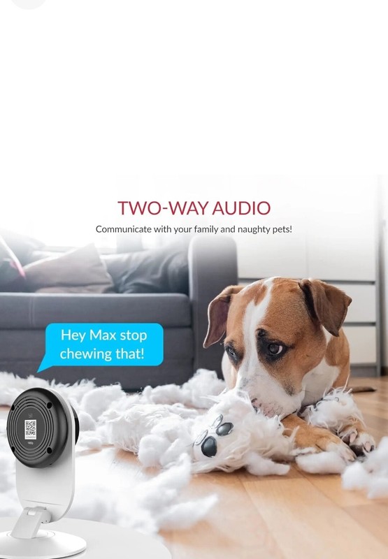 YI Pro 2K Home Security Camera, 2.4Ghz Indoor Camera with Person, Vehicle, Smart gallery