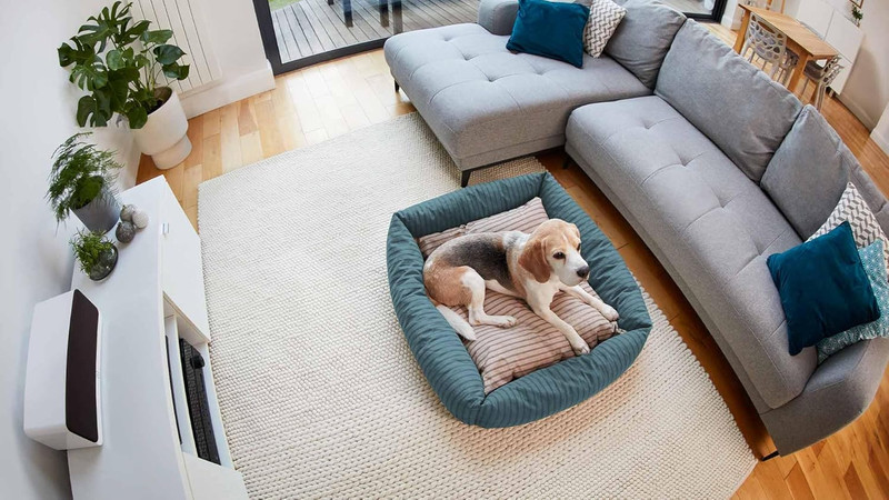 Indoor Cam (2Nd Gen), White with Pet Tag gallery