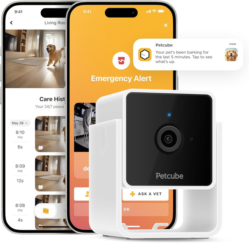 Cam | Indoor Wi-Fi Pet and Security Camera with Phone App, Pet Monitor