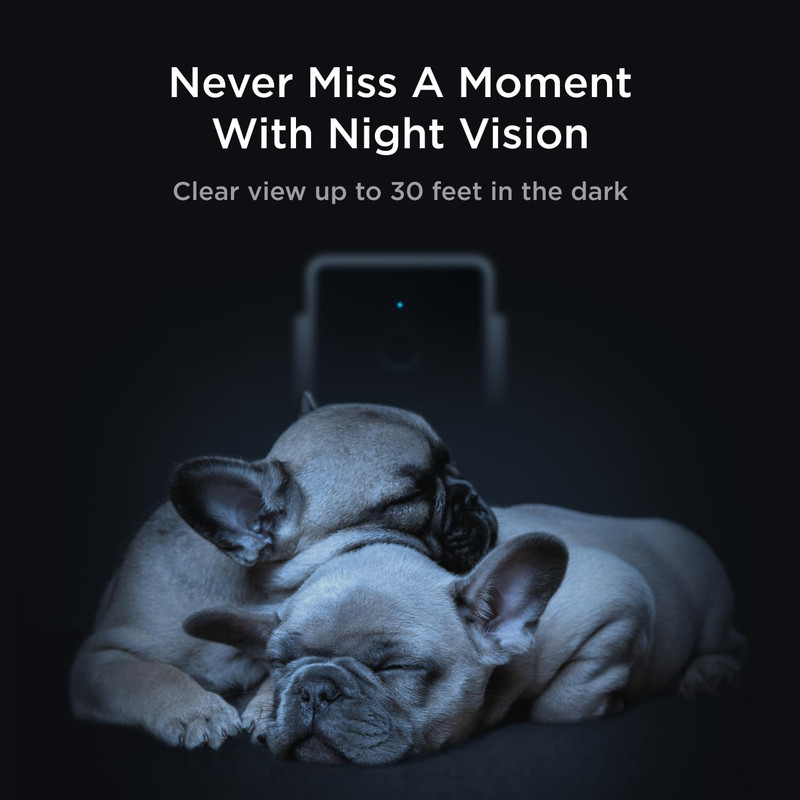 Cam the Pack of 2 | Indoor Wi-Fi Pet Security Camera with Phone App, 2-Way Audio gallery
