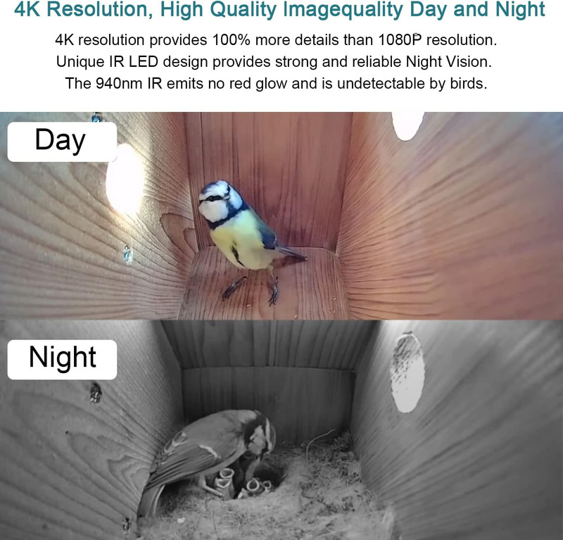 Wifi Bird Box Camera, 4K HD WLAN, Live Video to Phone, Easy Installation to Most gallery