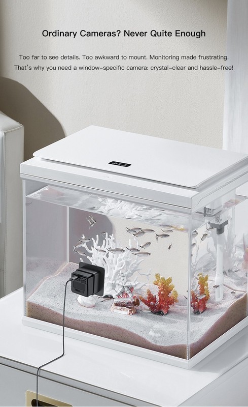 WIFi Pet camera for fish tank，window gallery
