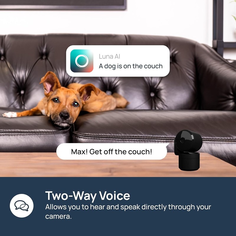 Security Camera Smart Gen AI Motion Detection Pet Camera gallery