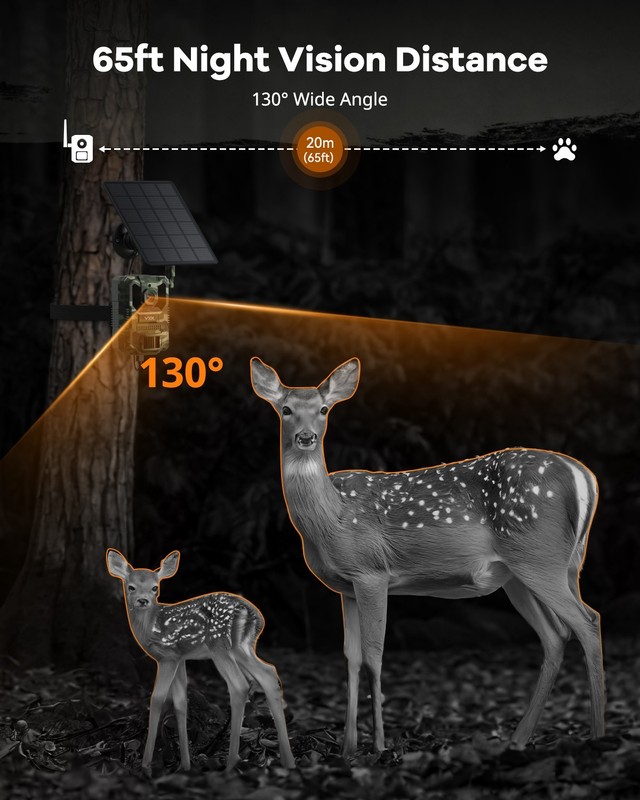 Solar 4G Wildlife Hunting Trail Camera Full HD Night Vision Motion Waterproof gallery