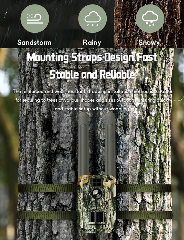 Wireless camera with camouflage pattern, outdoor wildlife tracking camera gallery