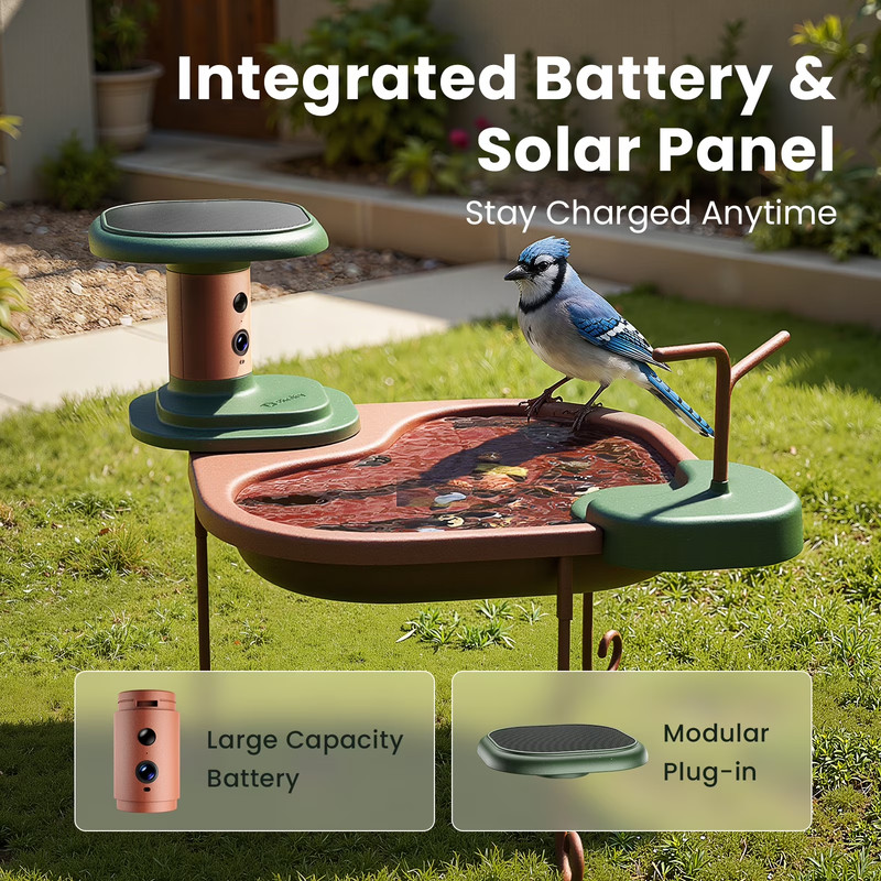 Smart Bird Bath with Camera Solar Powered, AI Identify, Live View, Instant Notif gallery