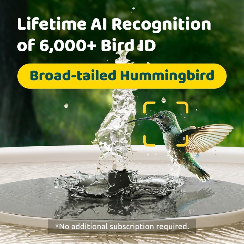 Birdfy Smart Bird Bath with Camera Solar Powered & Solar Fountain & Stand, Du... gallery