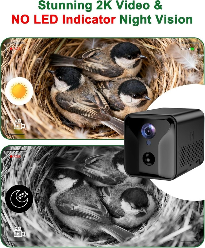 2K HD Solar Bird Watching House with Wi-Fi Camera - Perfect for Bird Enthusiasts gallery