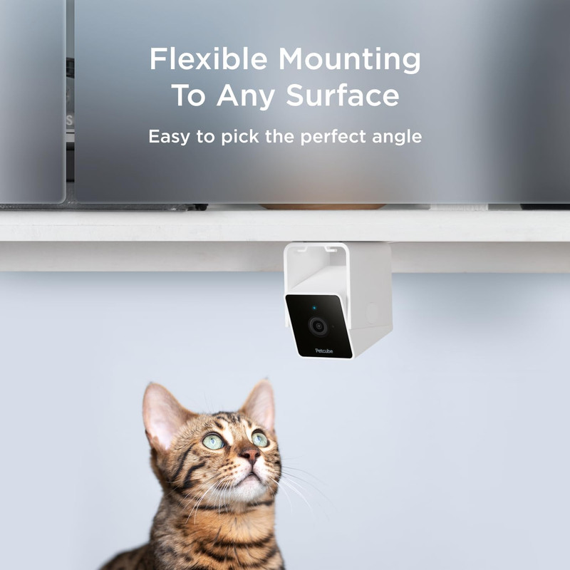 Cam the Pack of 2 | Indoor Wi-Fi Pet Security Camera with Phone App, 2-Way Audio gallery