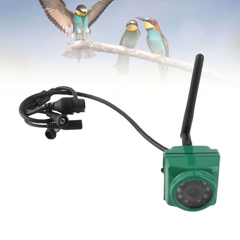 Bird Box Camera 10 LED Motion Detection APP Control Wireless Bird Watching NKYM gallery