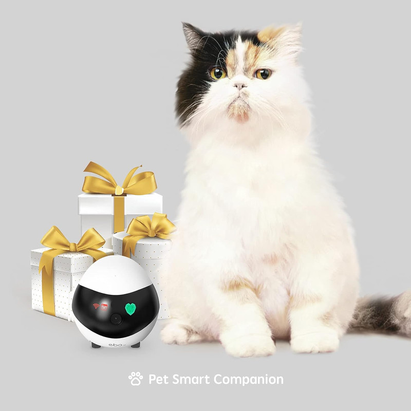 SE Familybot 1080P Pet Camera Robot - Battery, Night Vision, 2-Way Talk, APP Con gallery