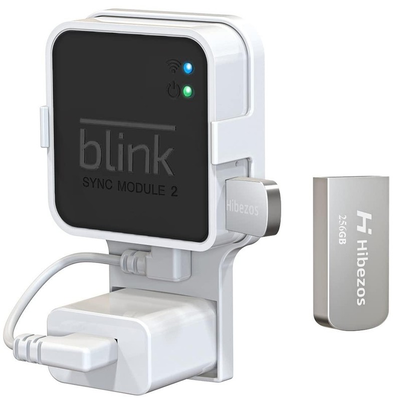 256gb USB Flash Drive and Outlet Mount for Blink Sync Module 2, Save S