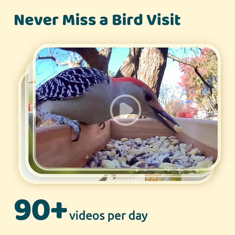 Netvue NI-8202 Birdfly Cam FHD Camera 1080p White For Bird Watching id 6k specie gallery