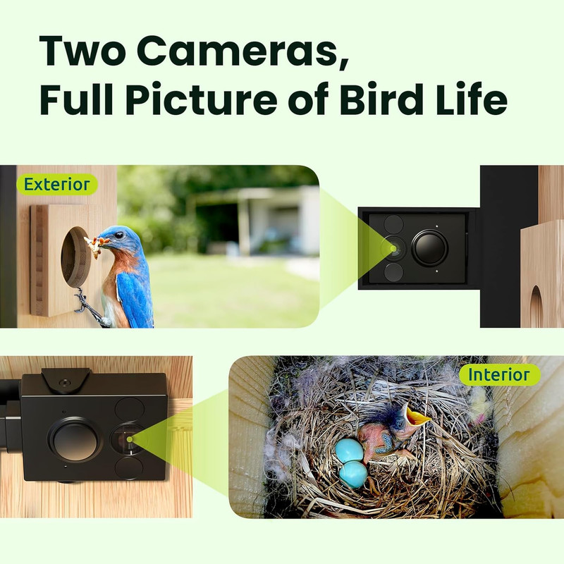 Smart Bird House with 1080P Dual-Cam & Solar Power - Perfect DIY Gift! gallery