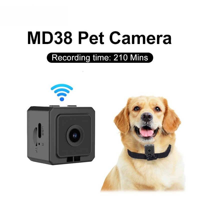 Pocket Camera DV Pet Smart Wearable Motion Recorder for Walking Dogs & Cats gallery