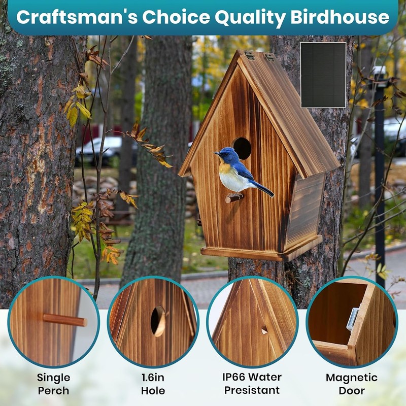 Smart Bird House with Camera, 1080P HD Birdhouse with Camera Inside gallery
