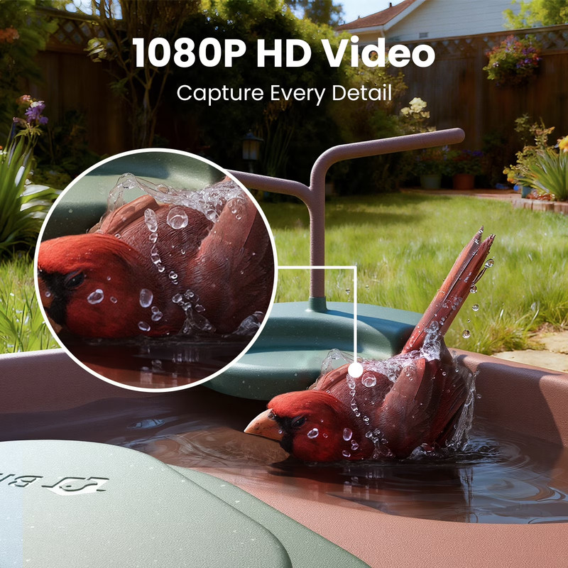Smart Bird Bath with Camera Solar Powered, AI Identify, Live View, Instant Notif gallery