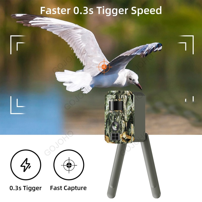 Wireless camera with camouflage pattern, outdoor wildlife tracking camera gallery
