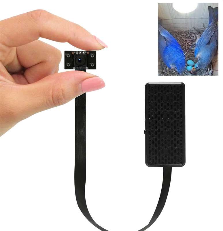4K HD Wifi Bird Box Camera with Night Mode & Live Video to Phone