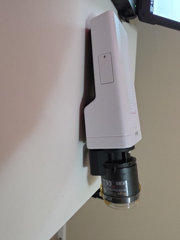 Axis P1387