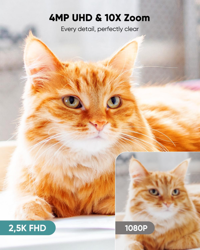 Battery Powered Pet Camera,True Wireless Indoor Camera, 4MP 2.5K Wifi Camera wit gallery