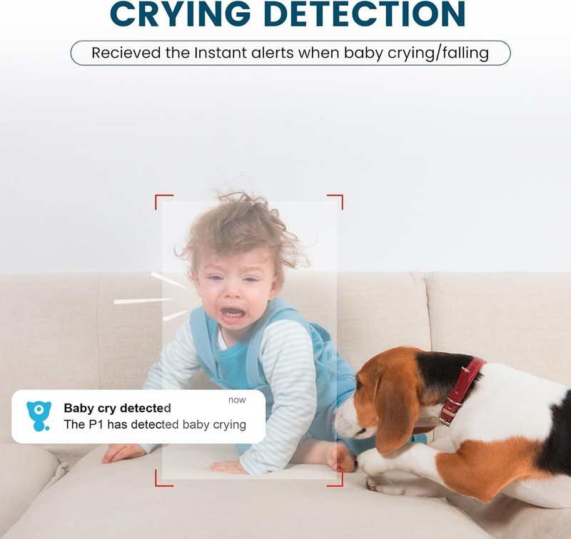 360-Degree Pan/Tilt Indoor Camera with Cry Detection & Alexa Compatibility gallery
