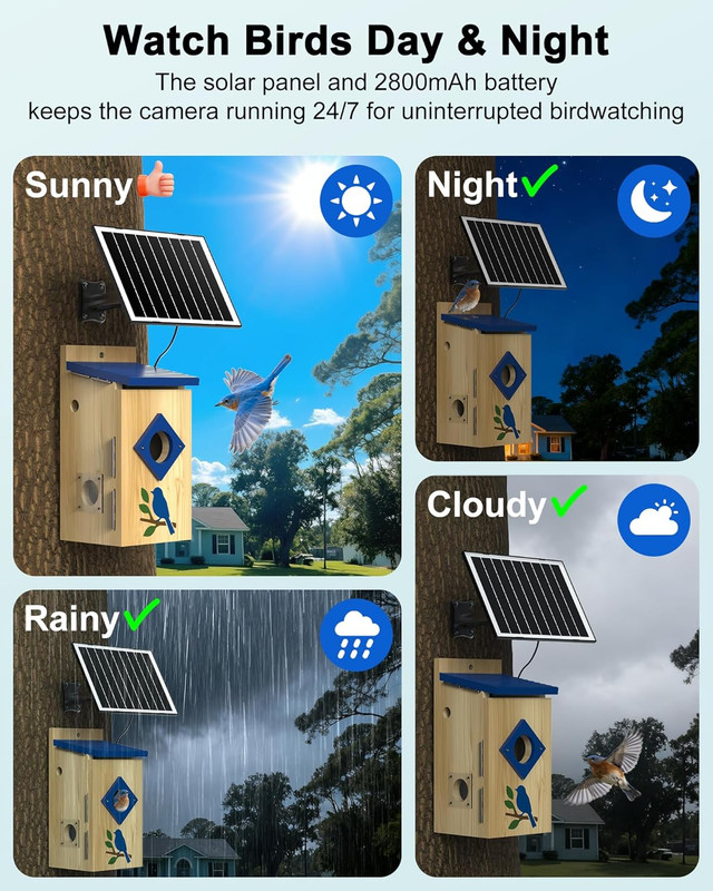 Smart Bird House with Camera Solar Powered,Isolated Camera Bay & Bird-Safe Varni gallery