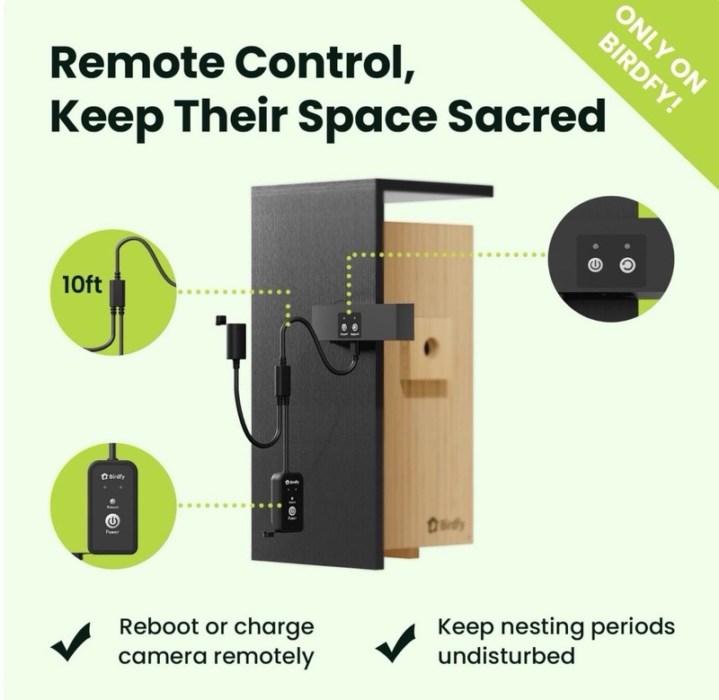 Birdfy Smart Bird House Nest Duo 2025 Dual Camera Solar AI Bamboo WiFi 1080P gallery