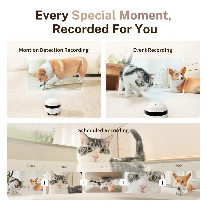 ROLA Mini FamilyBot 2K Pet Camera Robot: Movable Indoor Camera Battery-Powere... gallery