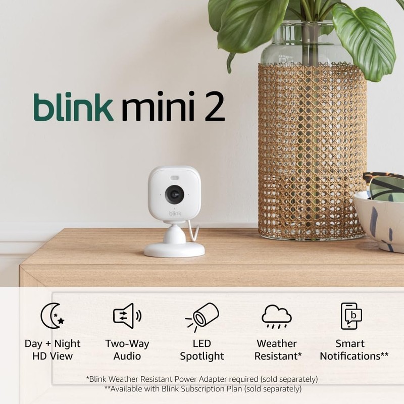 Blink Mini 2 (newest model) — Home Security & Pet Camera with HD video, color ni
