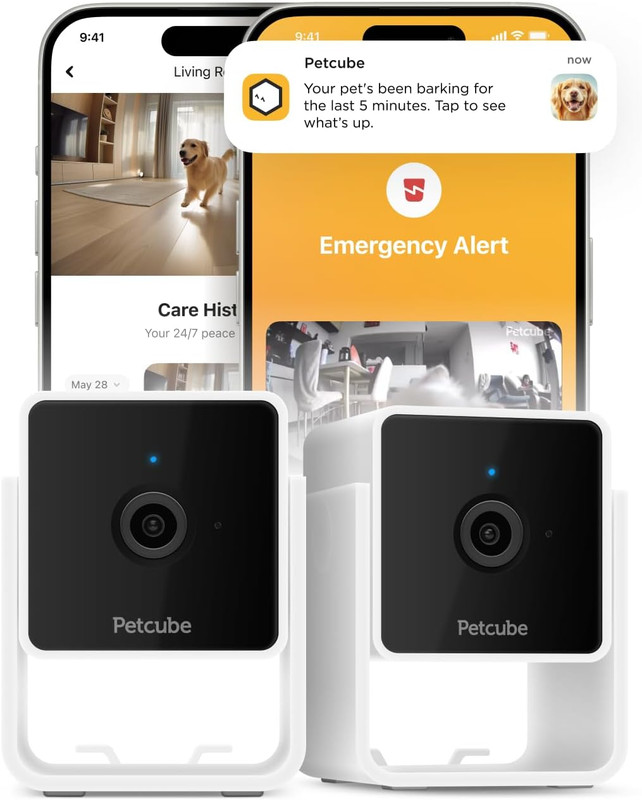 Cam the Pack of 2 | Indoor Wi-Fi Pet Security Camera with Phone App, 2-Way Audio gallery