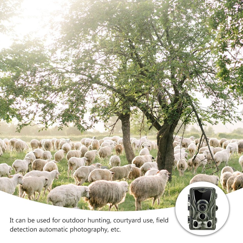 Practical Hunting Camera with Night Vision Outdoor Camera Camera for Hunting gallery